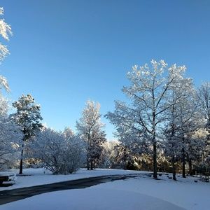 Meet your Posher, Dana